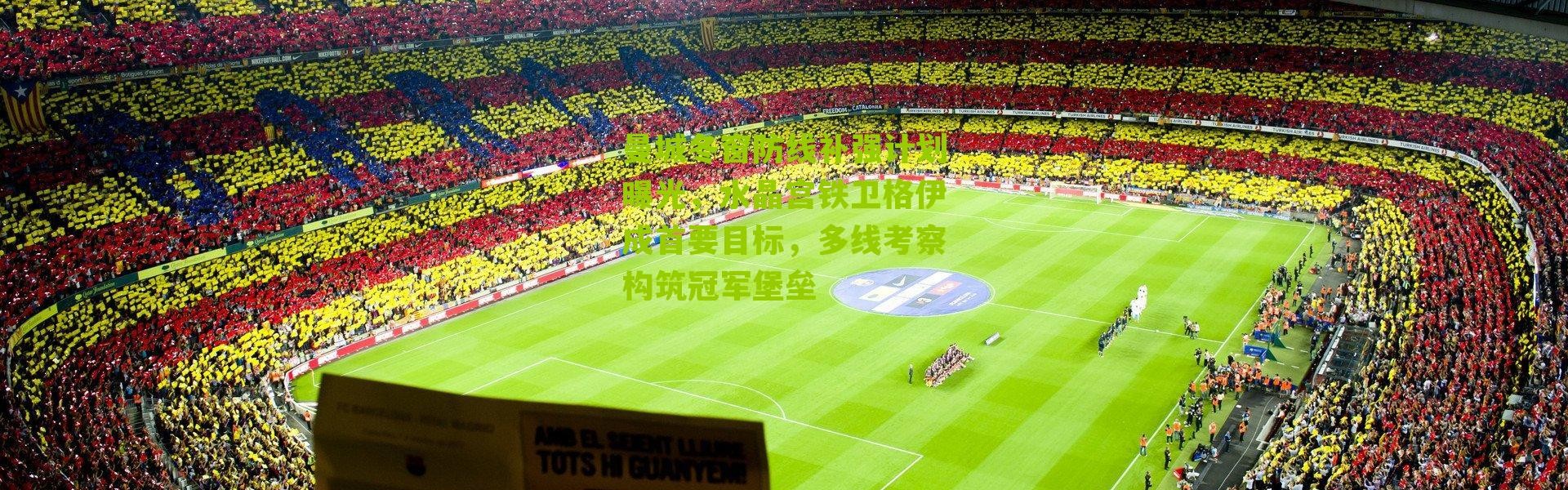 曼城冬窗防线补强计划曝光，水晶宫铁卫格伊成首要目标，多线考察构筑冠军堡垒