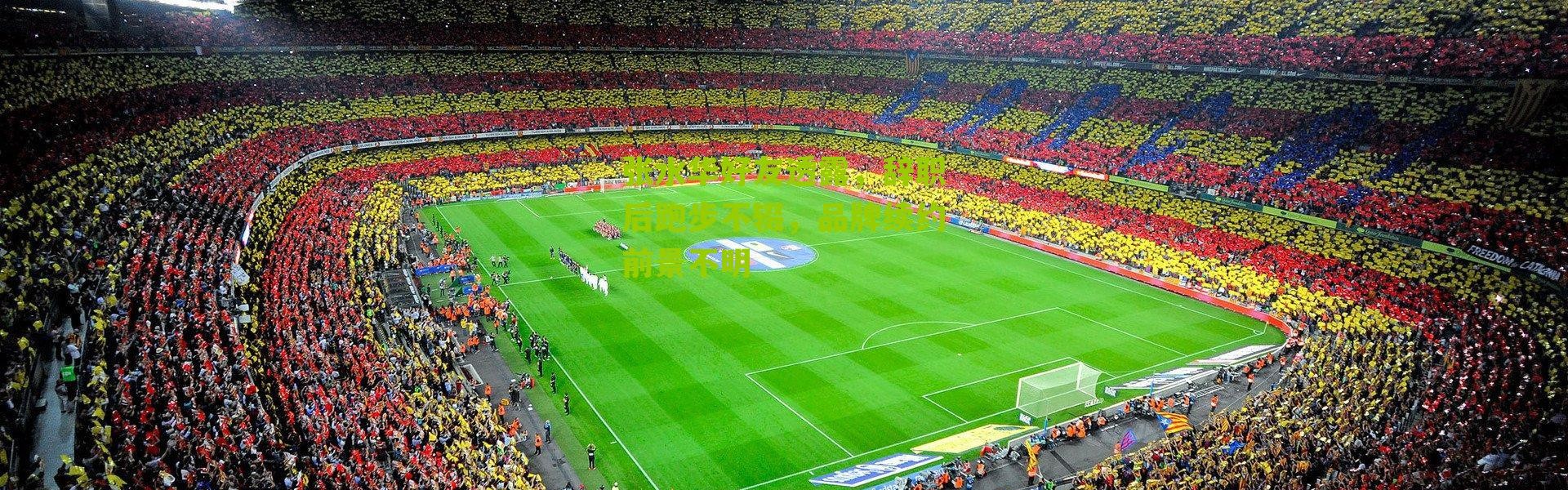 张水华好友透露，辞职后跑步不辍，品牌续约前景不明