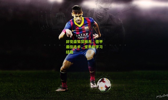 邱党盛赞樊振东，德甲最佳选手，宝贵的学习经验