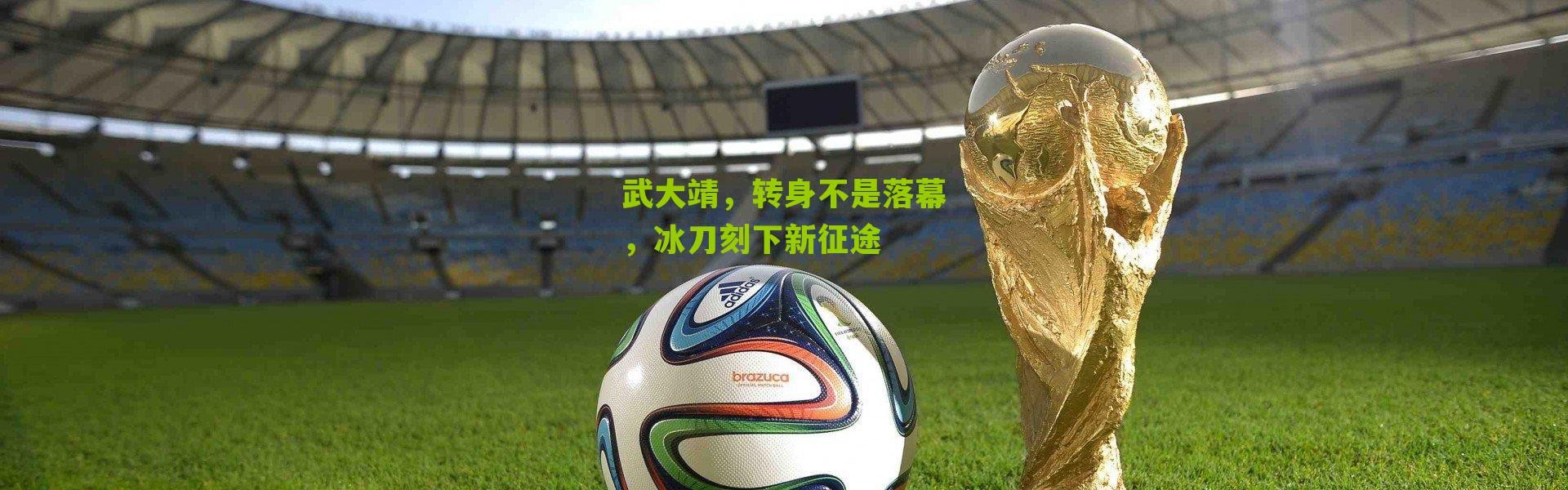 武大靖，转身不是落幕，冰刀刻下新征途