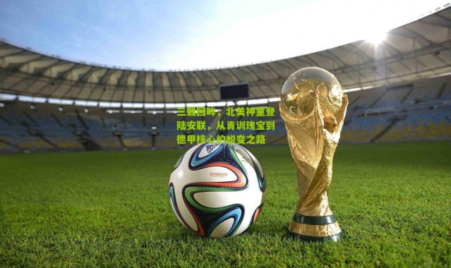 三载回眸，北美神童登陆安联，从青训瑰宝到德甲核心的蜕变之路