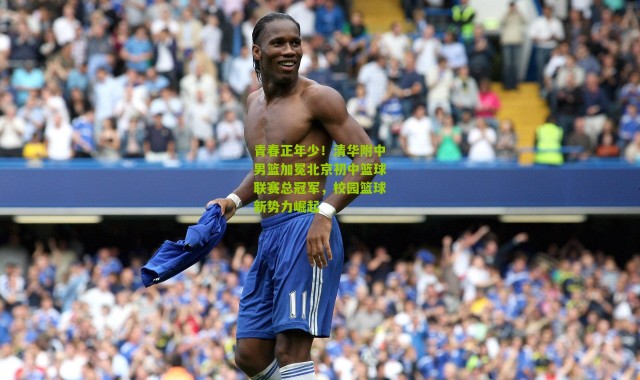 青春正年少！清华附中男篮加冕北京初中篮球联赛总冠军，校园篮球新势力崛起