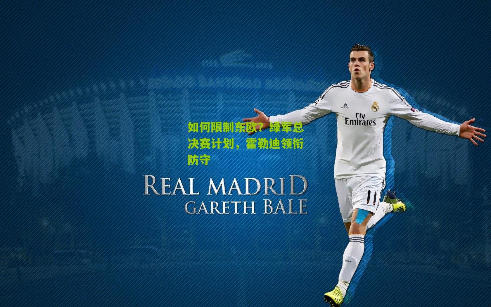 如何限制东欧?绿军总决赛计划,霍勒迪领衔防守